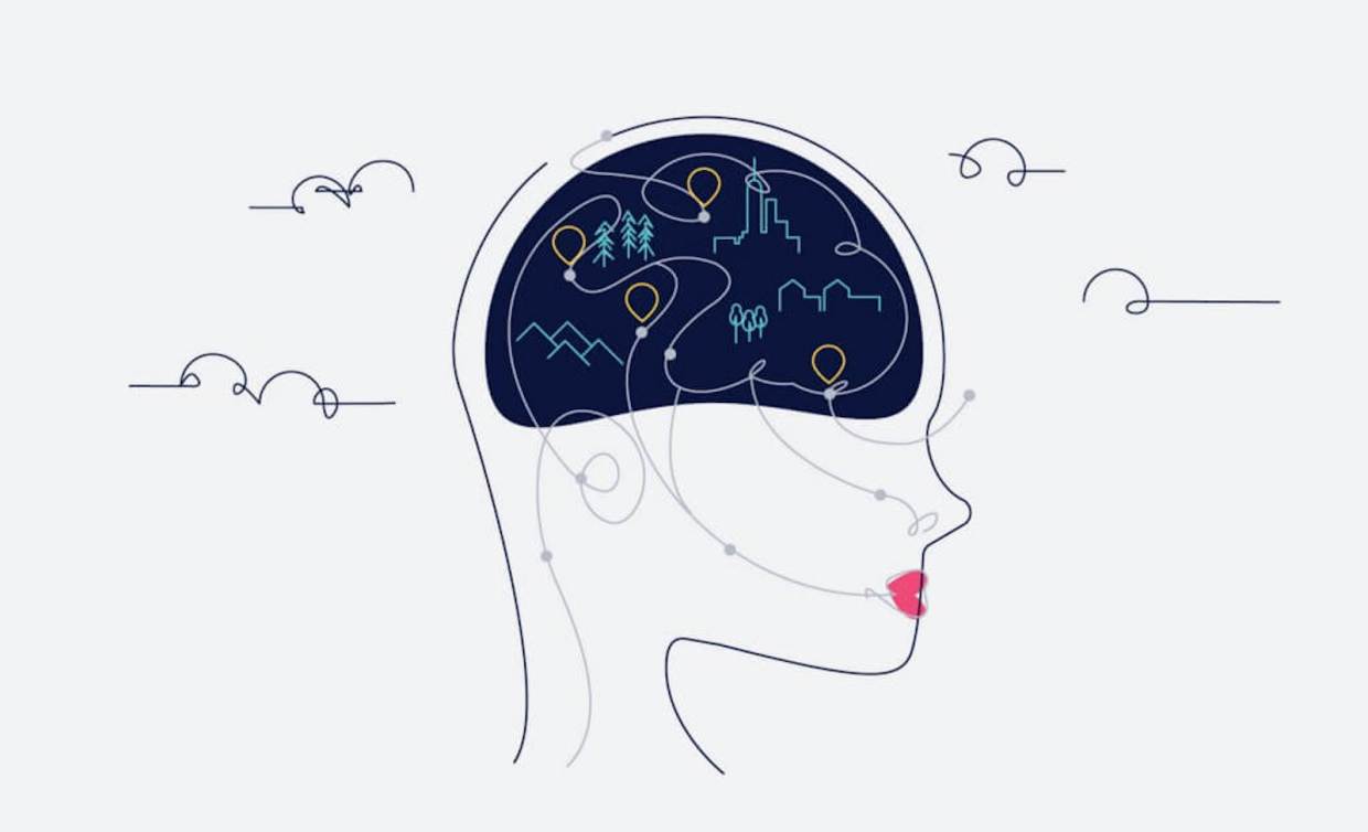 Brain 1