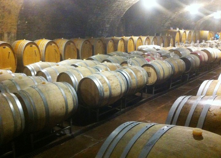 Winery2